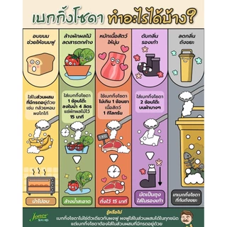 เบคกิ้งโซดา 500g-1000 g (Baking Soda หรือ Sodium bicarbonate)