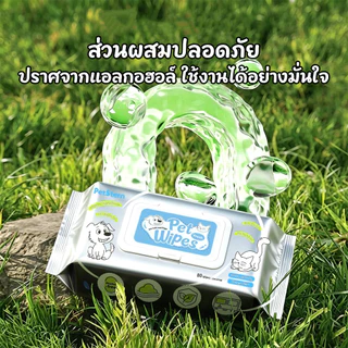 Petcho (PetStern) ผ้าเปียกสัตว์เลี้ยง ผ้าเปียกแมว ผ้าเปียกหมา สูตรอ่อนโยนพิเศษ เนื้อผ้านุ่ม เหนียว ไม่ขาดง่าย