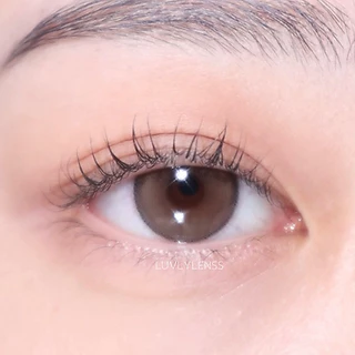 I-SHA DEKAME HUG ME TAUPE / BROWN / GRAY คอนแทคเลนส์เกาหลี คอนแทคเลนส์รายปี Silicone Hydrogel