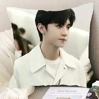 Pre Order🌈 หมอน เฉินเจ๋อหย่วน ChenZheyuan แอบรักให้เธอรู้ ‼️รอของ25-30วัน