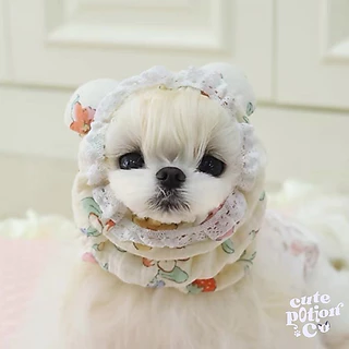 (พร้อมส่ง🇹🇭) หมวกคลุมขนสุนัข กันเปื้อนสุนัข dog snoods
