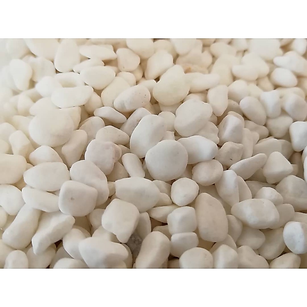 PEBBLE WASH STONE -สีขาว 0.5ซม.-1ซม