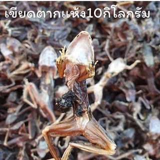 เขียดแห้งเกรดA อำเภอธาตุพนม เขียดอีโม่ เขียดสำหรับทอดหรือปิ้ง ของแซ่บอีสาน หนัก100กรัม