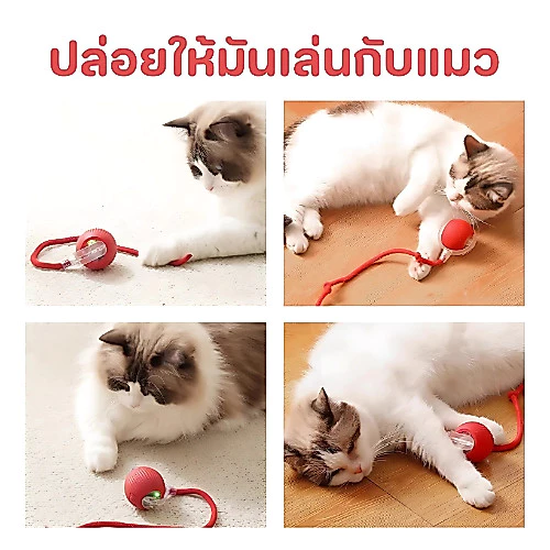 Pet Record สินค้าใหม่ ลูกบอลกลิ้งไฟฟ้าอัตโนมัติของเล่นสําหรับสัตว์เลี้ยง ของเล่นแมวโต้ตอบ Ball มี 3 โหมด สนุกมาก thumbnail 10