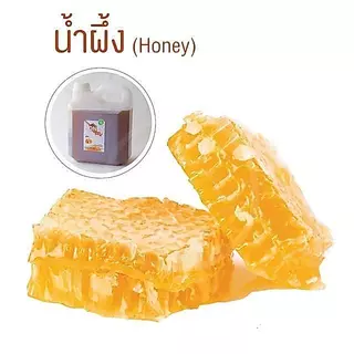 น้ำผึ้งแท้ น้ำผึ้งเกสรดอกไม้ป่า Honey Syrup แบบแกลอน สำหรับเครื่องดื่ม ชา กาแฟ เบเกอรี่ น้ำผึ้งมะนาว ขนาด 4 kg ทีอีเอ