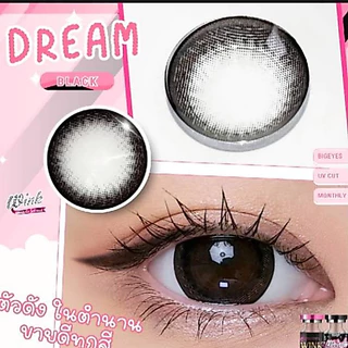 WINK Dream black คอนแทคเลนส์สีดำตาโต
