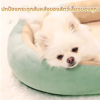 😻ที่นอนสัตว์เลี้ยง 3 ขนาด นุ่มสบาย ที่นอนแมว ที่นอนสุนัข เตียงแมว เบาะสัตว์เลี้ยง