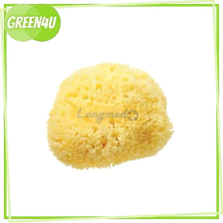 LONGMED BECARE Natural Sponge ฟองน้ำอนามัย ลูกเจี๊ยบ ใช้ทางการแพทย์ เอนกประสงค์