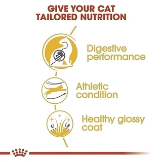 Royal Canin Bengal Adult 2kg อาหารเม็ดแมวโต พันธุ์เบงกอล อายุ 1 ปีขึ้นไป (Dry Cat Food, โรยัล คานิน)