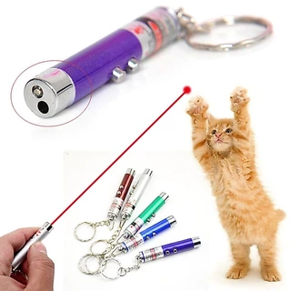 2-in-1 Mini Pet Fun ปากกาเลเซอร์ของเล่น Mini Red LED แบบพกพา Cat Wand