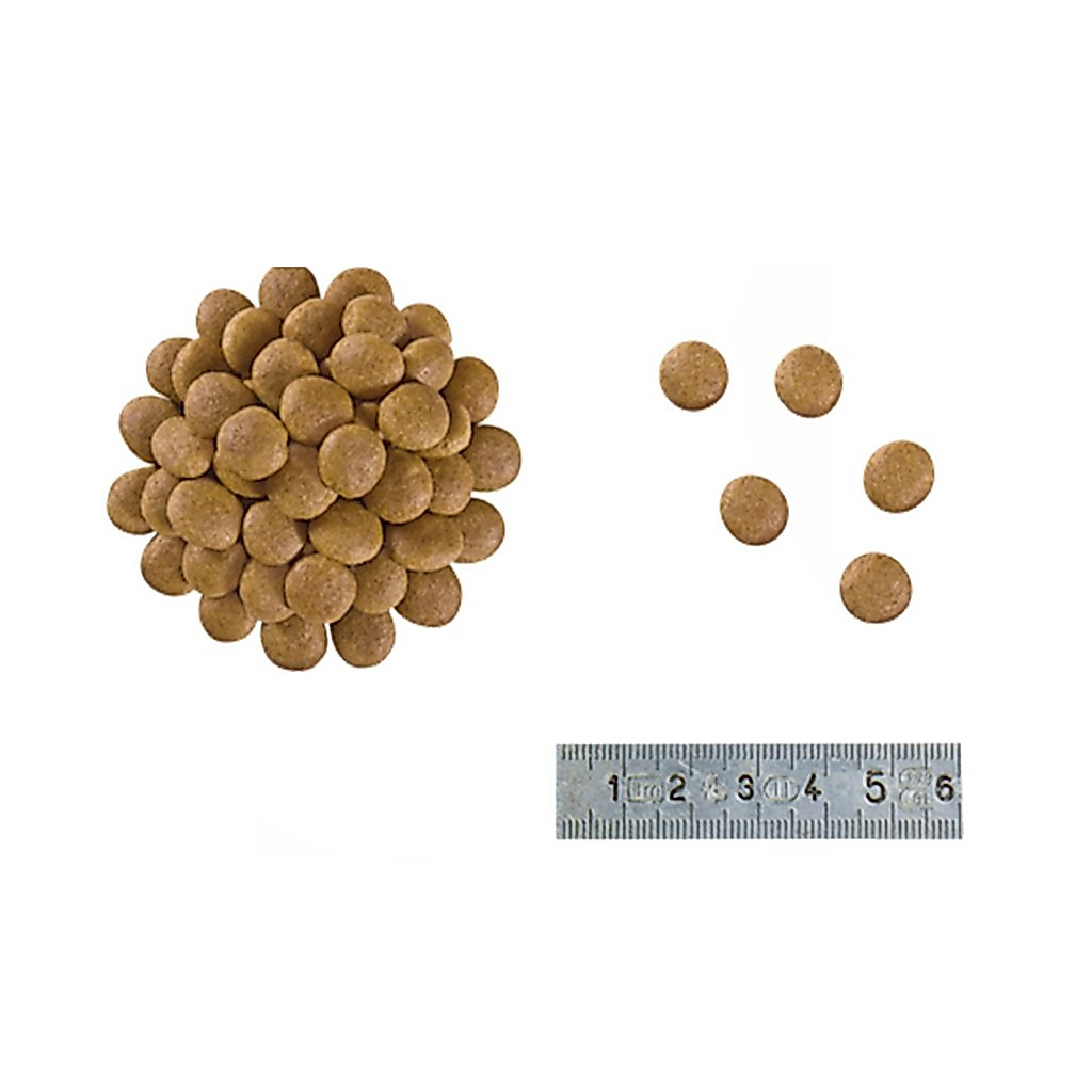 Royal Canin طعام قطط Anallergenic لحساسية الطعام 2 كغ — صورة 2