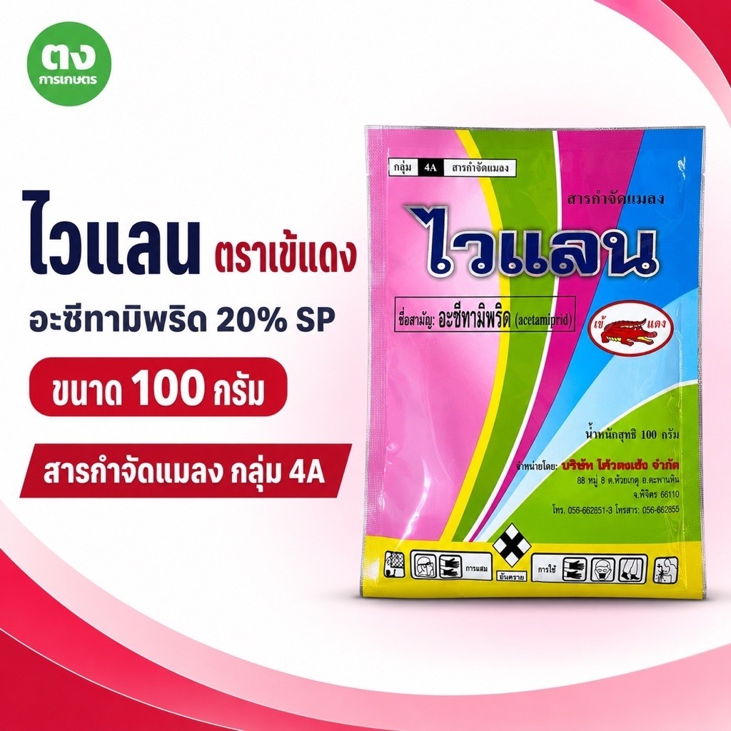ไวแลน เข้แดง อะซีทามิพริด 20% SP 100 กรัม ยาฆ่าแมลง สารกำจัดแมลง หนอนชอนใบมันเทศ