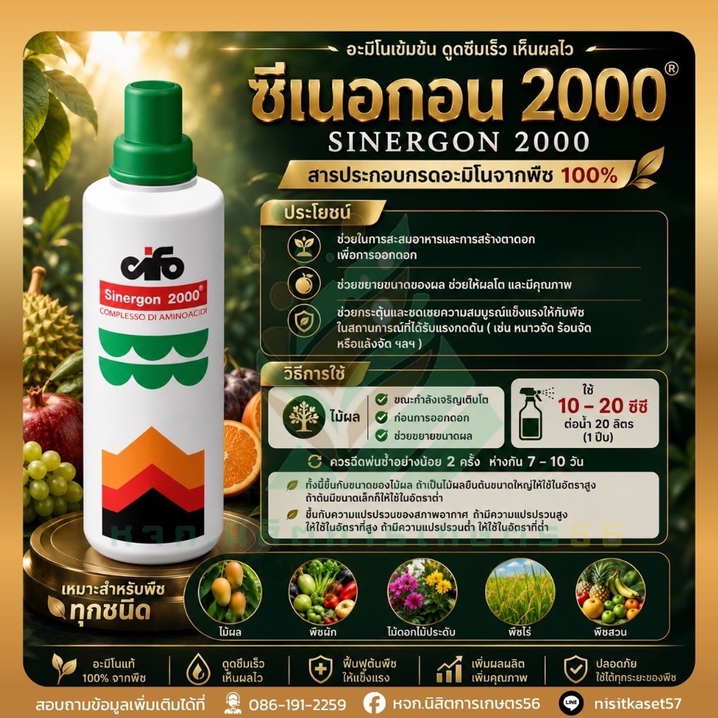 🌾📌ซีเนอกอน 2000 นาข้าว (Sinergon 2000 Rice) 📌🌾🌾🌾🌳🌳