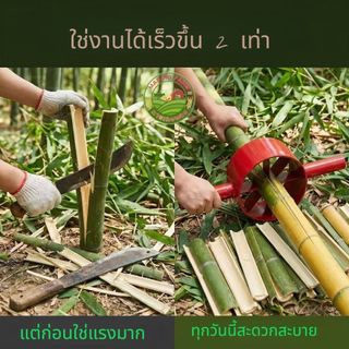 จำปาผ่าไม้ไผ่ เหล็กผ่าไม้ไผ้