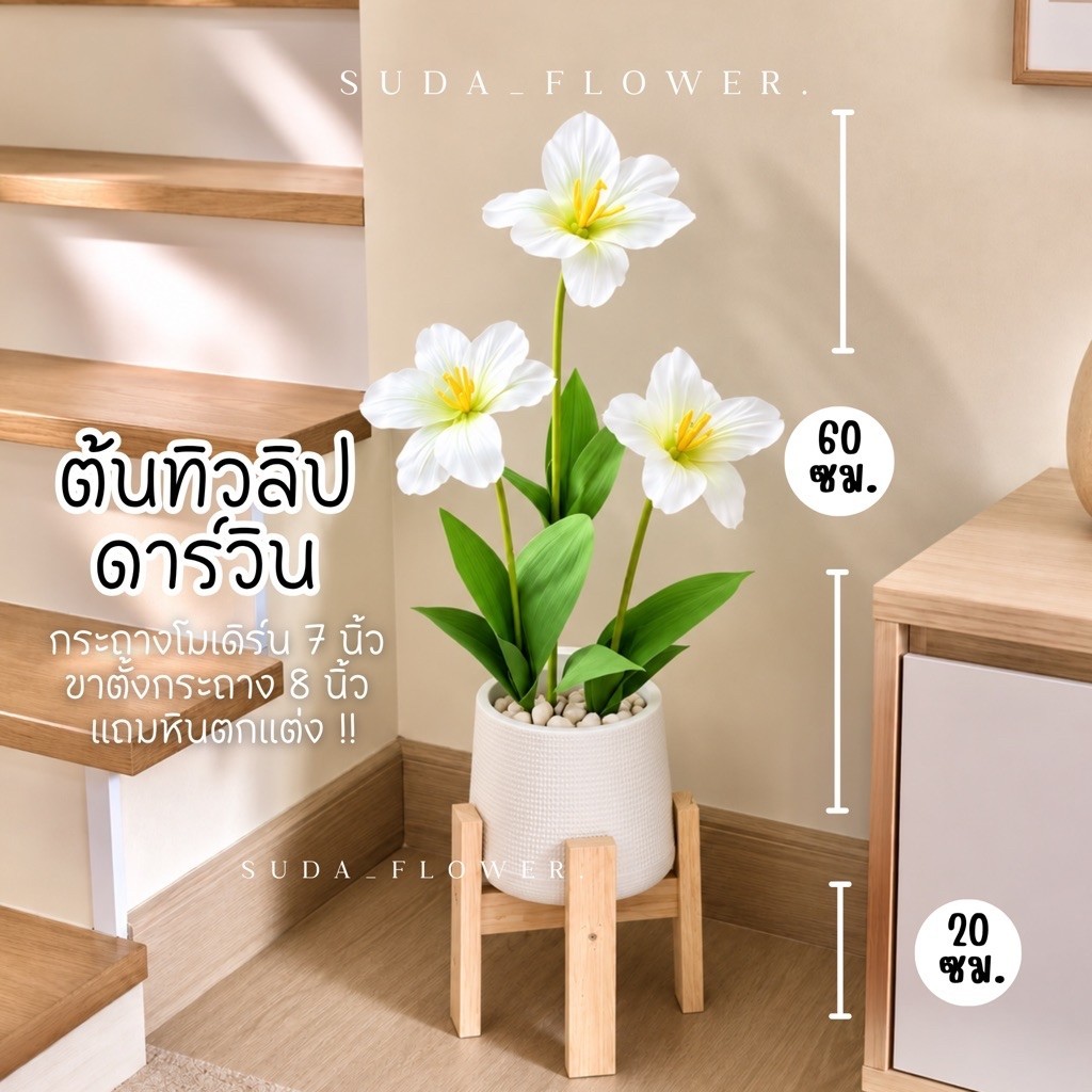 ต้นทิวลิป ดาร์วิน เสมือนจริงพร้อมกระถางสูง 65 80 ซม. ต้นไม้เสมือมจริง ต้นไม้มงคล ตกแต่งบ้าน