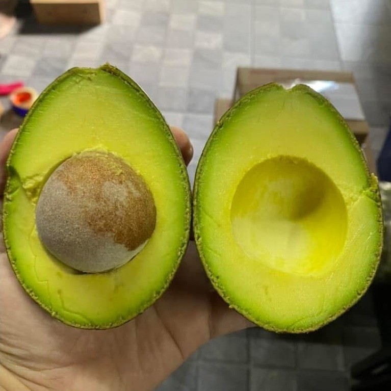 🥑 ขายเป็นลูก อโวคาโด้พื้นเมืองไทย  ขายเป็นลูก