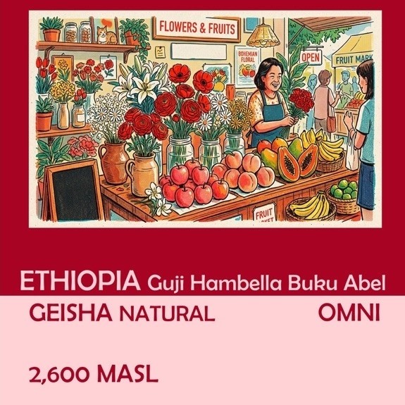 Ethiopia Guji Geisha (100g)