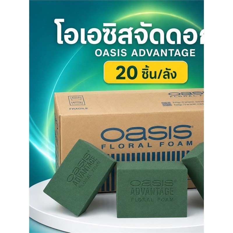 OASIS ✅พร้อมส่ง ทั่วไทย 🚛🚛 ราคา  OASIS  20ชิ้น/ลังอย่างดี อุ้มน้ำได้นาน คุณภาพดี