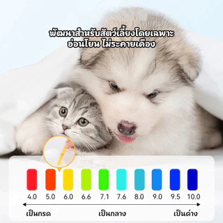 Petcho (PetStern) ผ้าเปียกสัตว์เลี้ยง ผ้าเปียกแมว ผ้าเปียกหมา สูตรอ่อนโยนพิเศษ เนื้อผ้านุ่ม เหนียว ไม่ขาดง่าย