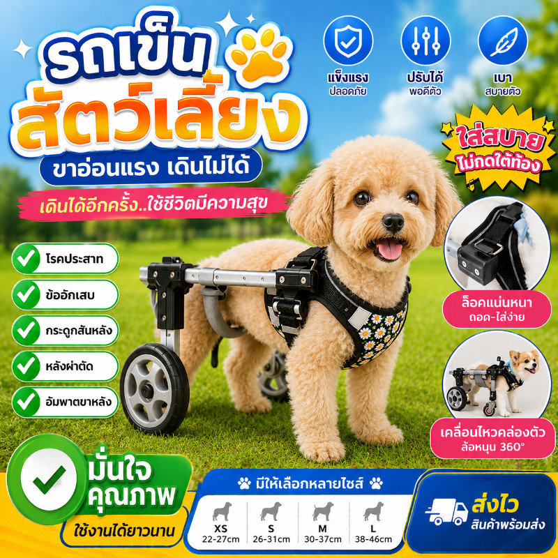 รถเข็นช่วยฟื้นฟูสัตว์เลี้ยง สำหรับหมาแมวขาหลังอ่อนแรง เดินคล่องตัว น้ำหนักเบา ล้อทนทาน พร้อมส่ง Thailand
