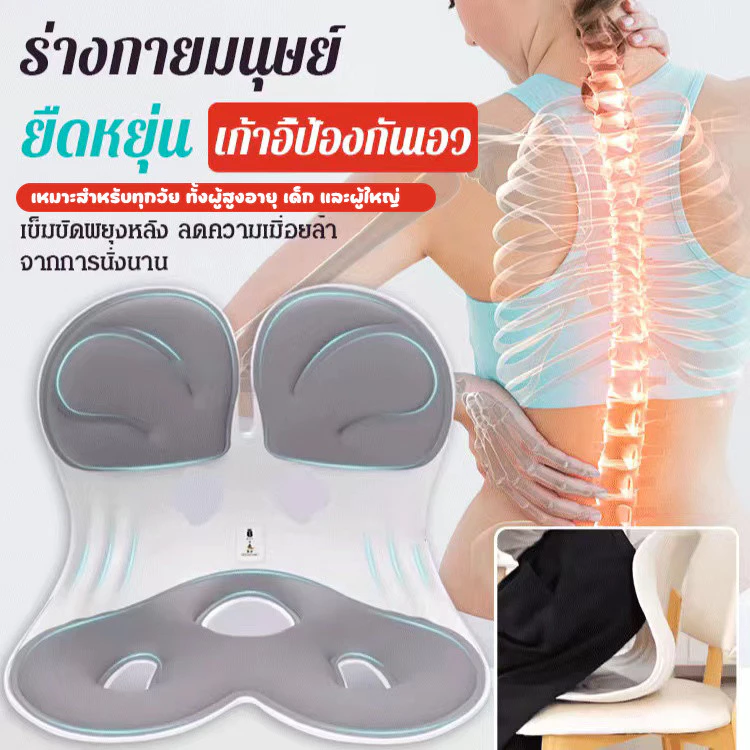 เบาะรองหลัง เก้าอี้รองปรับท่านั่ง เบาะรองนั่งปรับท่านั่งจากญี่ปุ่น นั่งนานไม่เมื่อย มีให้เลือกหลากหลายสี