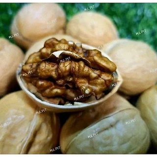 Walnut ลูกวอลนัทสำหรับสัตว์เลี้ยง วอลนัทอบแห้ง สำหรับนกแก้ว กระรอก หนูต่างๆ (แบ่งขาย200g/500g/1kg)