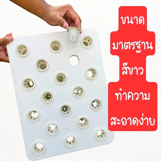 ถ้วยปลูกไฮโดรโปนิกส์ ถ้วยปลูกสีขาว ถ้วยปลูกผัก (**แบบใช้ซ้ำ**) 20 / 50 / 100 ใบ