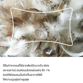 MUJI มูจิ หมอน ขนเป็ด ของแท้ นิ่ม สบายทั้งคืน FEATHER PILLOW