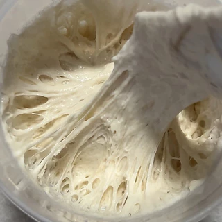 Dry yeast หัวเชื้อยีตส์จากธรรมชาติ ยีตส์แห้งสำหรับนำไปทำขนมปัง Sourdough 🥖