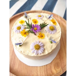 ดอกมากาเร็ตบอเนียว ดอกผีเสื้อ เดซี่ ดอกไม้กินได้ Edible flowers กล่องละ 50-100 ดอก (ส่งด่วนInstantDelivery)ทุกวัน