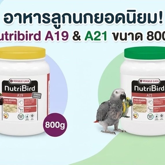 พร้อมส่ง Nutribrid A21และA19 800g..