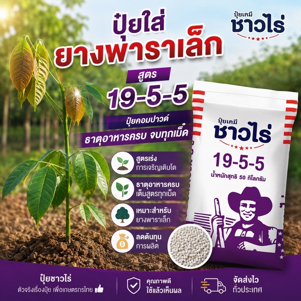 ปุ๋ยยางพาราเล็ก สูตร 19-5-5 ธาตุอาหารครบ สูตรเร่งการเจริญเติบโต สำหรับยางพาราเล็ก