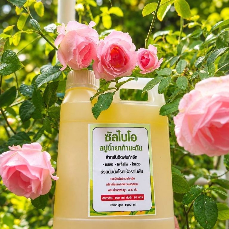 "สบู่น้ำยากำมะถันชีวภาพ ไล่เพลี้ย-ไรแดง ปลอดภัยต่อสัตว์เลี้ยง ซัลไบโอ "