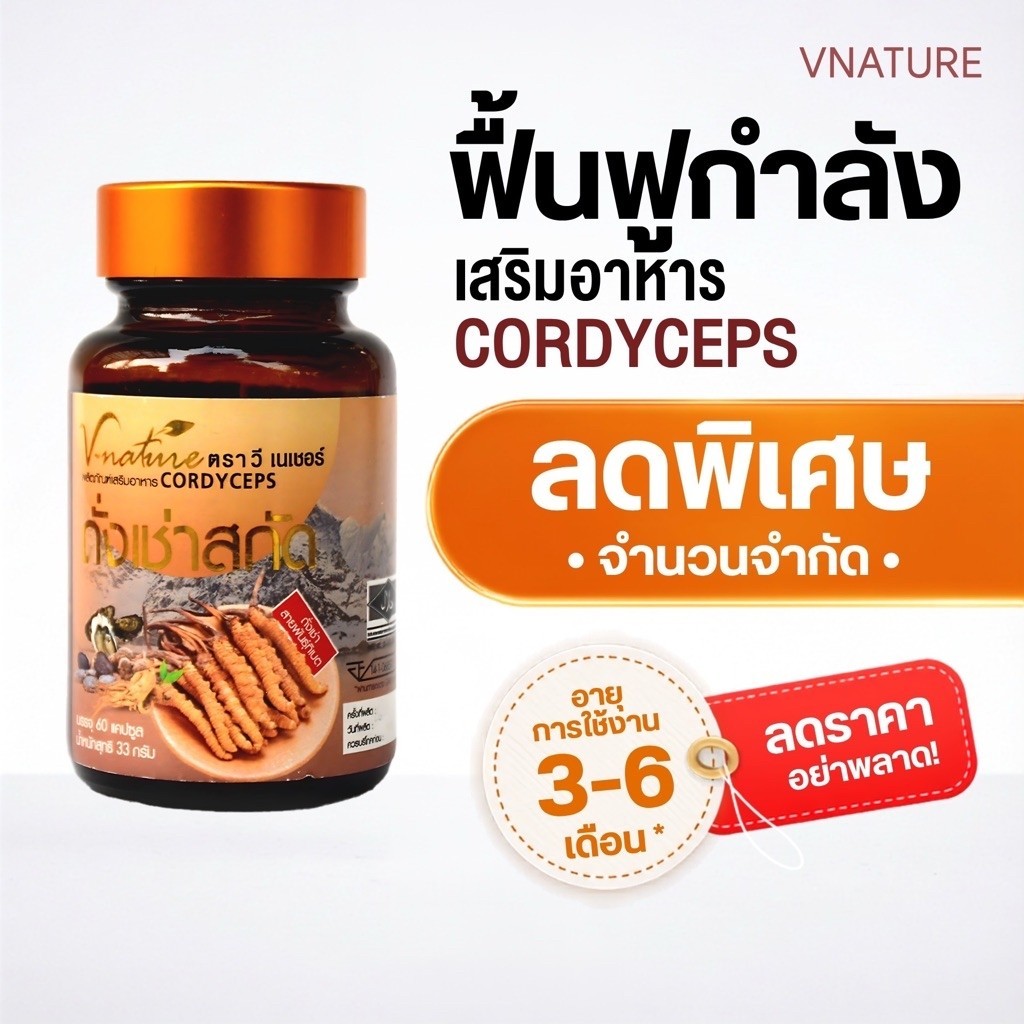 (ลดพิเศษ)ถั่งเช่าทิเบตสกัด VNATURE Cordyceps 60 แคปซูล
