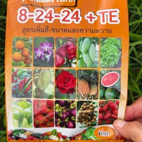 ปุ๋ยเกร็ด เวสโก้ สูตร 8-24-24+TE ขนาด 1กิโล ปุ๋ยน้ำ ละลายน้ำง่าย ดูซึมได้ดี ใช้สะดวกใช้ง่าย สินค้าแท