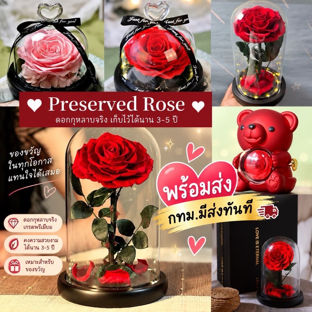 [พร้อมส่ง🚨มีส่งทันที]🌹กุหลาบจริงนาน3-5ปี 🌹 ดอกกุหลาบอมตะ Preserved Rose ของขวัญวาเลนไทน์ ดอกกุหลาบ Valentine