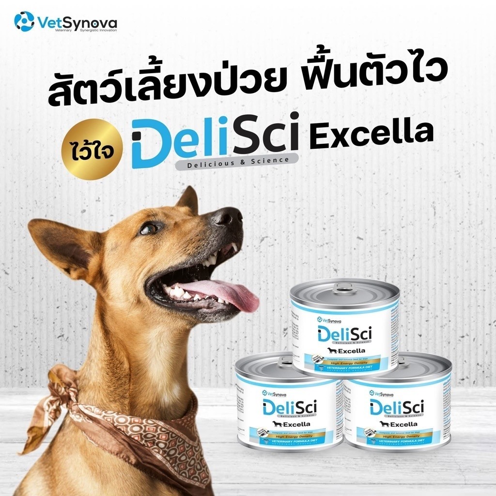 DeliSci Excella 185g (กระป๋องขาวฟ้า) แพ็ค1-3กระป๋อง อาหารเปียกบำรุงสัตว์ป่วย