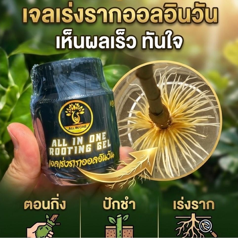 Gel tăng rễ ALL IN ONE