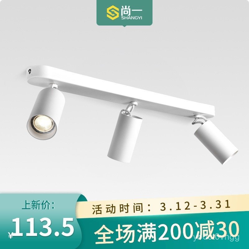 Double-headed Surface-mounted Spotlight led Ceiling lamp with adjustable angle, small ceiling-mounte