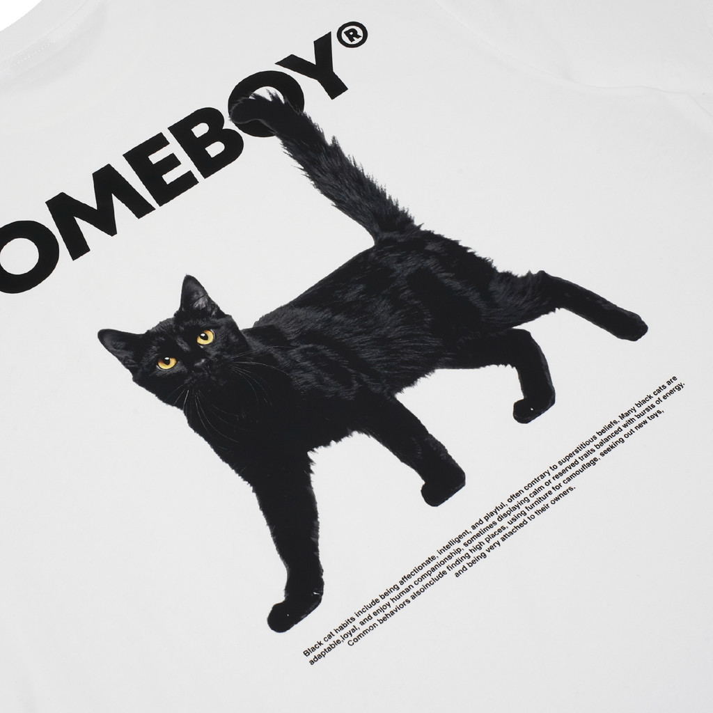 รูปภาพ 9