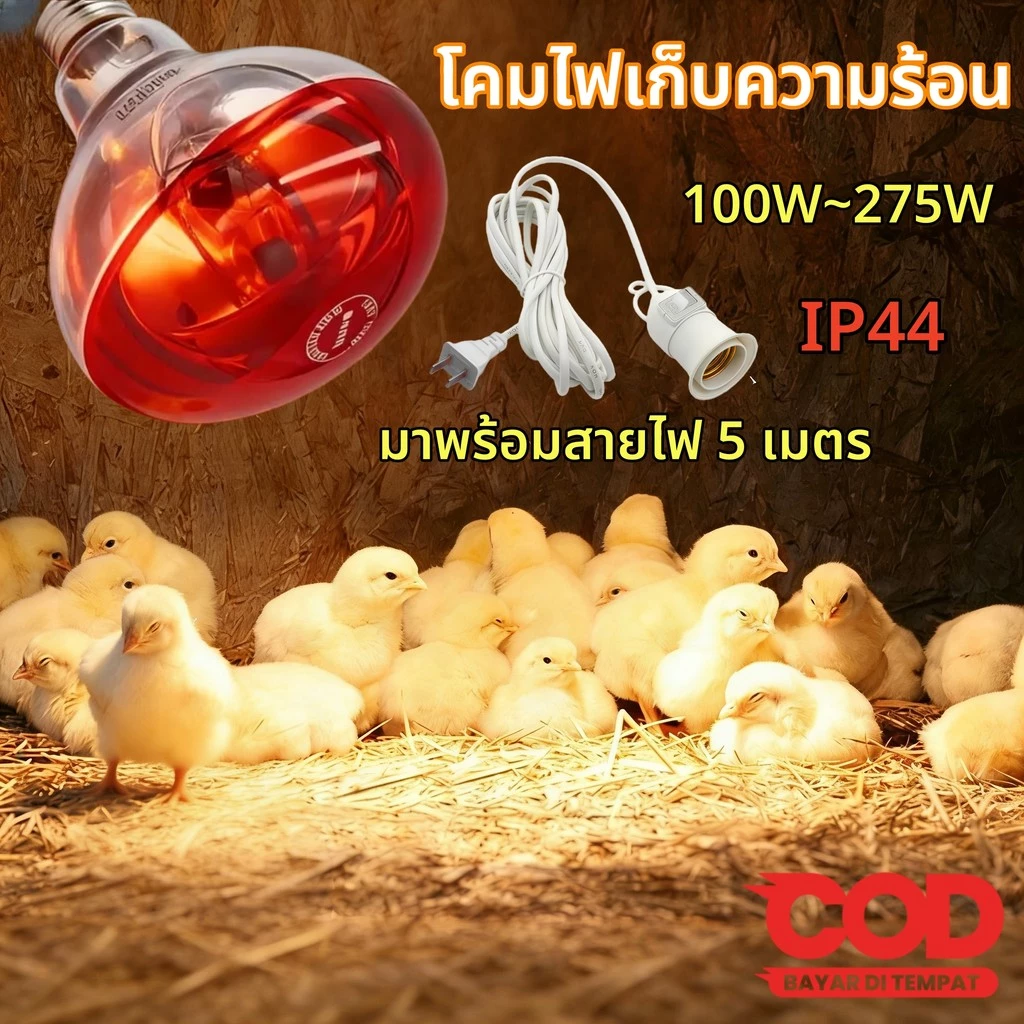 【HS】พร้อมส่ง แบบมีสาย หลอดอินฟาเรด 100W-275W ขั้ว E27 กันระเบิด ทนความร้อน ไฟกกหมู ประหยัดไฟ