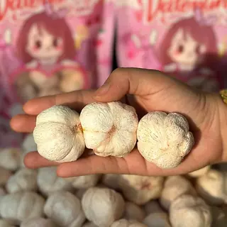 (ลดแรง)มังคุดฟรีซดราย มังคุดคัด มังคุดกรอบ เปรี้ยวหวานกรอบฟู มี2ไซต์ให้เลือก (น้ำหนักรวมแพคเพจ) ตุ๊กกี้ตัวแสบ