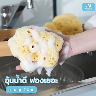 Mummily ฟองน้ำ SILK FINE ฟองน้ำธรรมชาติแท้100% ฟองน้ำอาบน้ำเด็ก