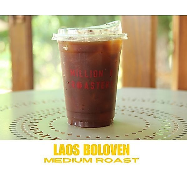 เมล็ดกาแฟคั่ว ลาว โบโลเว่น