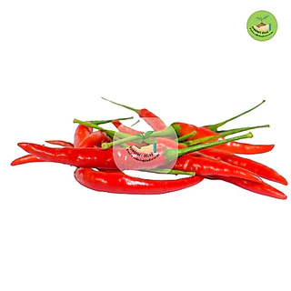 9บาท พริกชี้ฟ้า 300 เมล็ด
