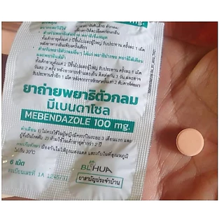 #(ยาสามัญประจำบ้าน) ยาถ่ายพยาธิตัวกลม Mebendazole 100mg/เม็ด (แผงละ 6 เม็ด)