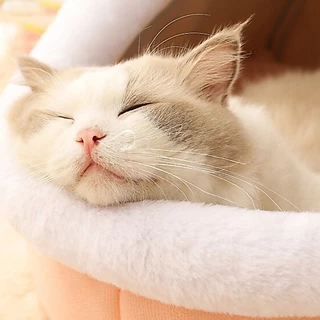 🐱ที่นอนแมว เตียงสุนัข ที่นอนสัตว์เลี้ยง กึ่งปิด แบบถอดออกได้ ให้ความอบอุ่น ล้างทําความสะอาดได้ สําหรับสุนัข แมว