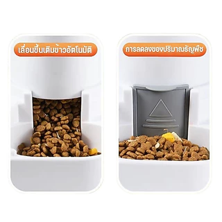 เครื่องให้อาหารและให้น้ำอัตโนมัติ สำหรับแมวและสุนัข สีเทา ขนาด 2 ลิตร