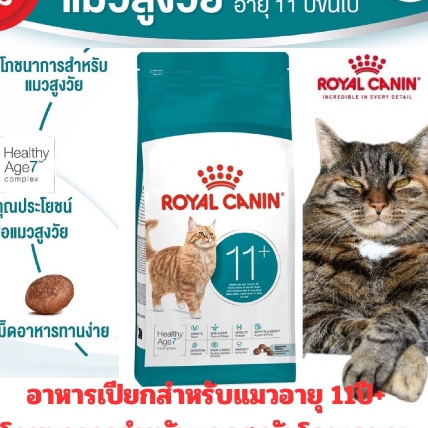 [ใหม่] Royal Canin อาหารแมว Ageing 11+ สูตรเฉพาะ สูงวัย 11ปี+ ขนาด 2kg , 4kg