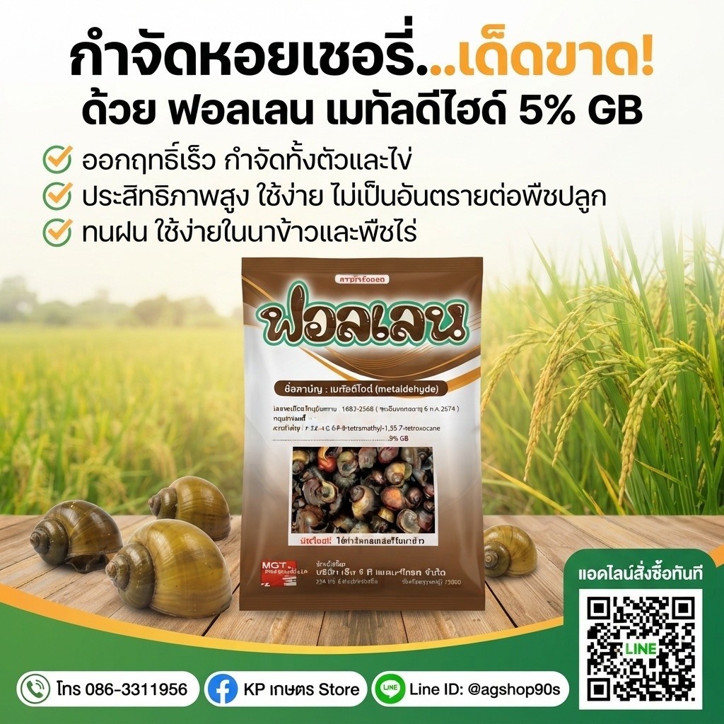 ฟอลเลน ( เมทัลดีไฮด์ )( 1 กิโลกรัม ) สารกำจัดหอย ยาฆ่าหอย สารกำจัดแมลง